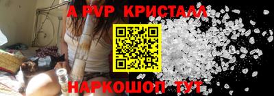 спиды Гусев