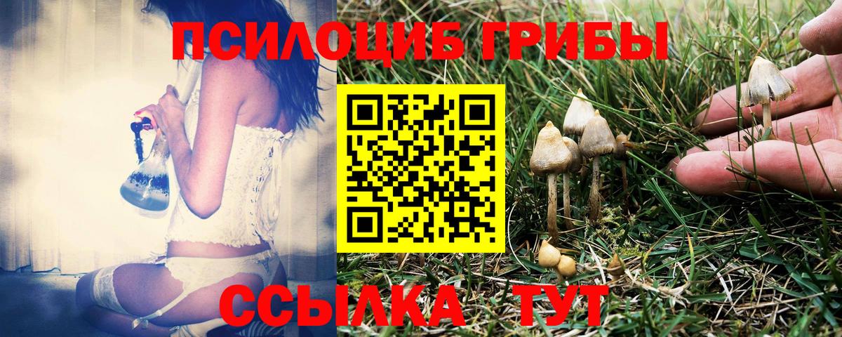 Псилоцибиновые грибы GOLDEN TEACHER  Вход с VPN  Нефтекамск 